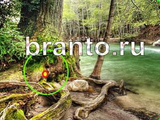 ответы на игру Зоркий глаз Уровень 1074