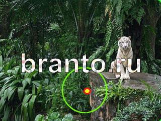 ответы на игру Зоркий глаз Уровень 1076