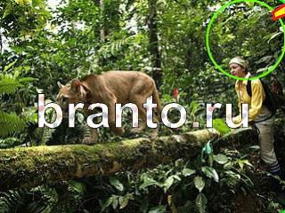 ответы на игру Зоркий глаз Уровень 1077