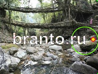 подсказки к игре Зоркий глаз Уровень 1078