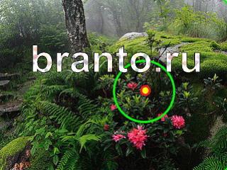 ответы на игру Зоркий глаз уровень 1080