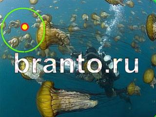 ответы на игру Зоркий глаз Уровень 1101