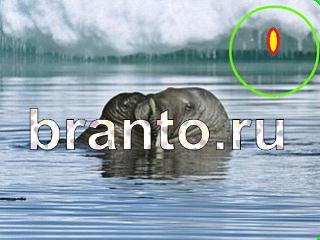 ответы на игру Зоркий глаз Уровень 1102