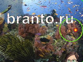 Решебник на игру Зоркий глаз Уровень 1104