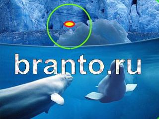 ответы на игру Зоркий глаз Уровень 1105