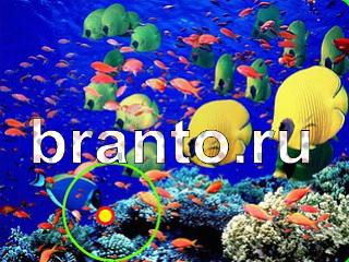 ответы на игру Зоркий глаз Уровень 1108