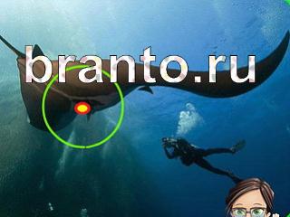 ответы на игру Зоркий глаз Уровень 1112