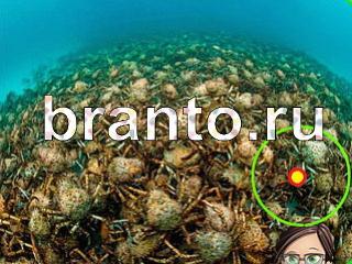 Зоркий глаз решебник Уровень 1115