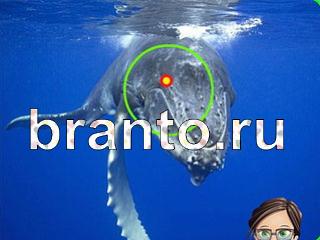 ответы на игру Зоркий глаз Уровень 1117