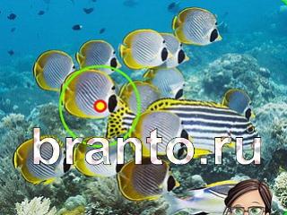 подсказки к игре Зоркий глаз Уровень 1118