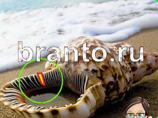 Игра Зоркий глаз все ответы Уровень 1119