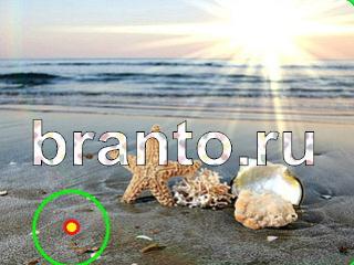 ответы на игру Зоркий глаз уровень 1120