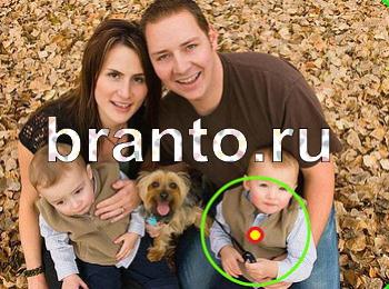 Приложение Зоркий глаз ответы Уровень 1245