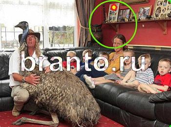 ответы на игру Зоркий глаз Уровень 1246