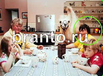 ответы на игру Зоркий глаз Уровень 1247