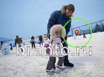 решебник на игру Зоркий глаз Уровень 1336