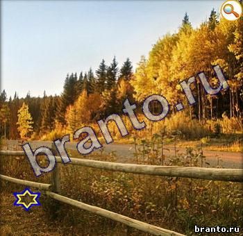 ответы на игру Найди кота Уровень 353