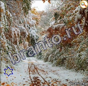 Найди кота игра ответы ВК Уровень 354