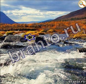 Игра вконтакте Найди кота ответы Уровень 355