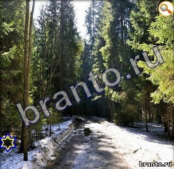 ответы на игру Найди кота Уровень 356