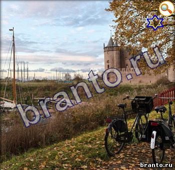 подсказки на игру Найди кота Уровень 357