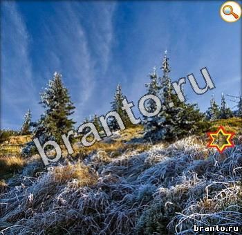 скриншоты с ответами к игре Найди кота ВК Уровень 358