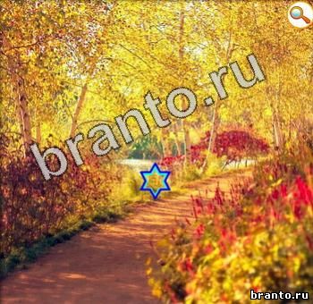 ответы на игру Найди кота Уровень 360