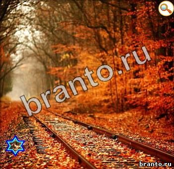 ответы на игру Найди кота Уровень 361