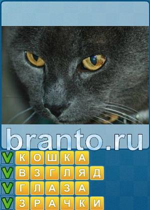 Найди слова Уровень 201