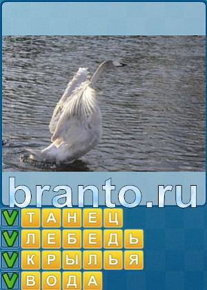 Найди слова Уровень 202 ответ