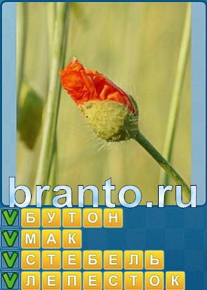 ответы на игру Найди слова Уровень 210