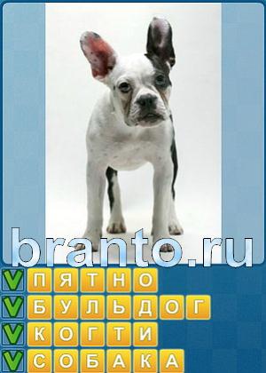 ответы на игру Найди слова Уровень 214