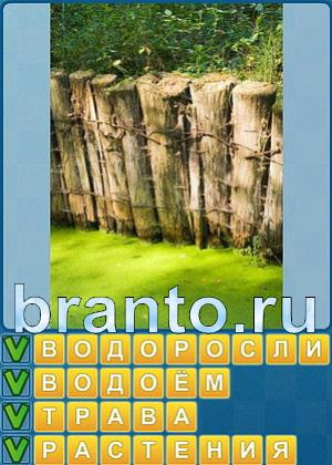 ответы на игру Найди слова Уровень 215