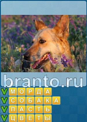 ответы на игру Найди слова Уровень 232