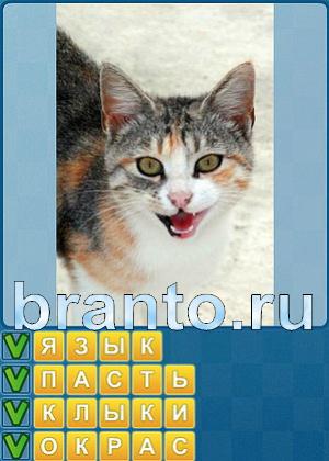 ответы на игру Найди слова Уровень 246