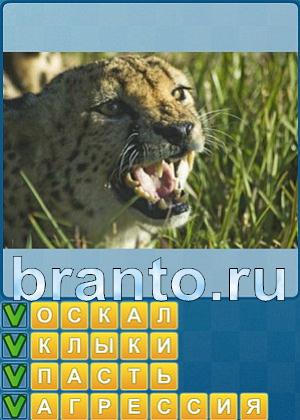 ответы на игру Найди слова Уровень 248