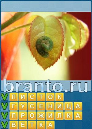 ответы на игру Найди слова Уровень 250