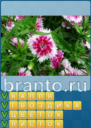 найти ответы на игру Найди слова Уровень 267