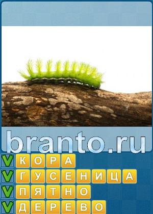 Игра Найди слова подсказки Уровень 269