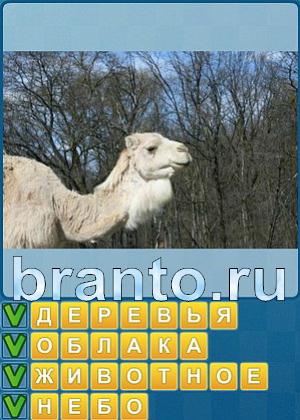 ответы на игру Найди слова Уровень 272