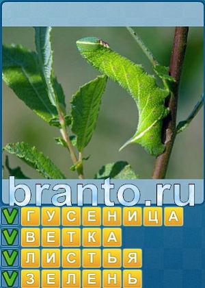 ответы на игру Найди слова Уровень 292