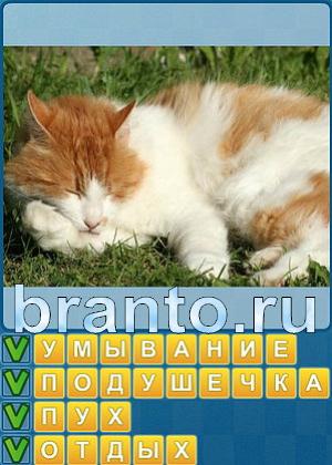 ответы на игру в одноклассниках Найди слова Уровень 294