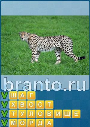 Найди слова решения Уровень 297