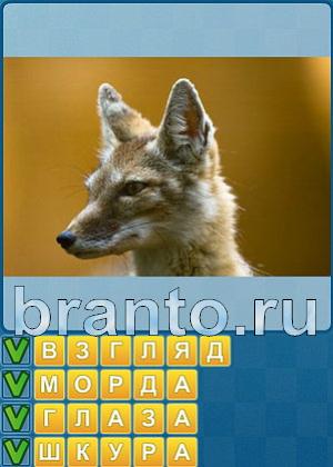 ответы на игру Найди слова Уровень 422