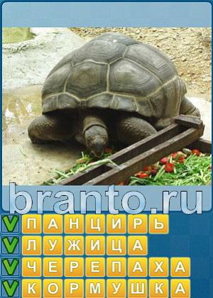 решебник Найди слова Уровень 427