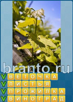 Найди слова решения Уровень 445