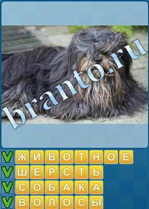 ответы на игру Найди слова Уровень 457