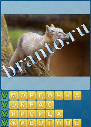 Найди слова игра ответы Уровень 525