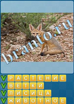 решебник Найди слова Уровень 527