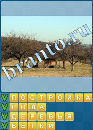 Найди слова решения Уровень 541